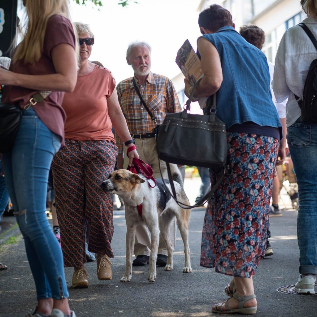 Gelungenes Tierheimfest