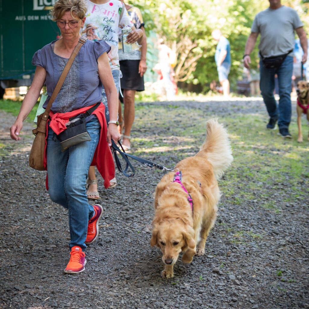 Gelungenes Tierheimfest