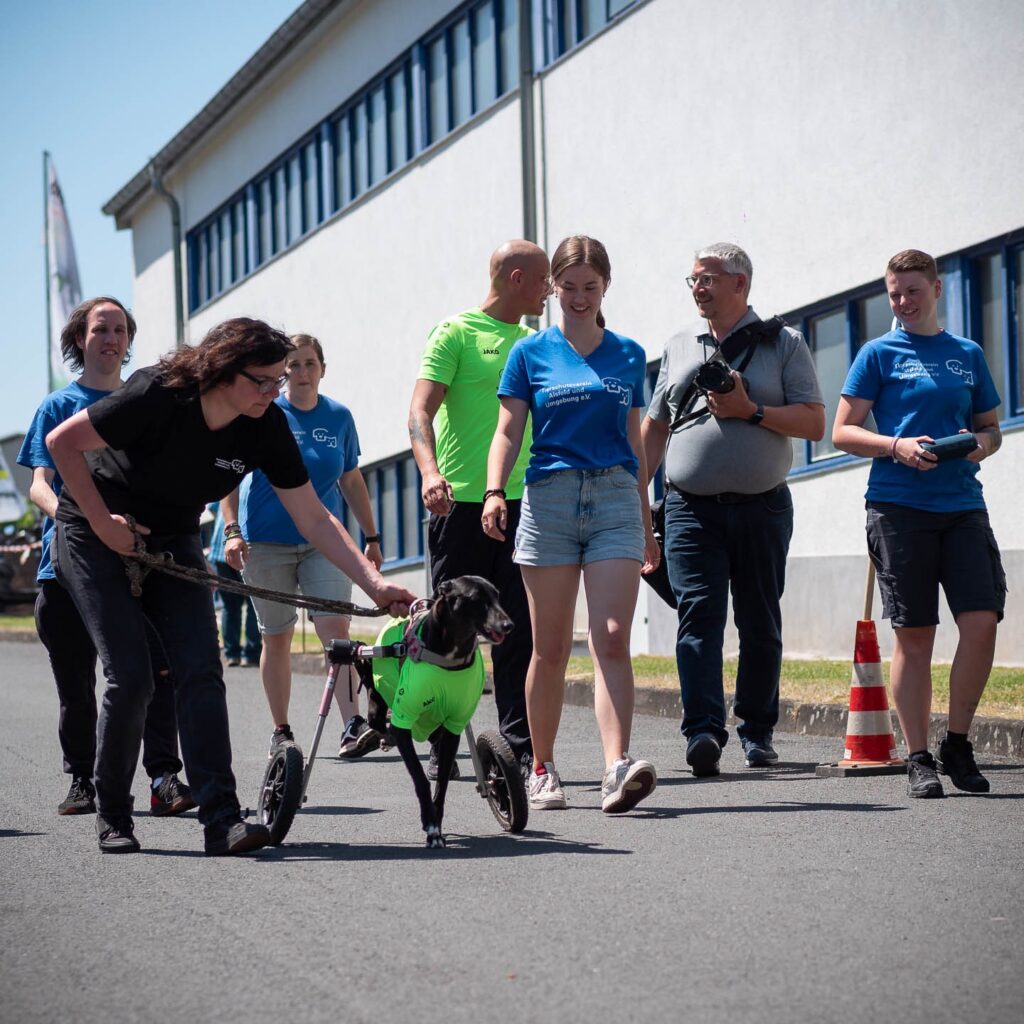 Gelungenes Tierheimfest