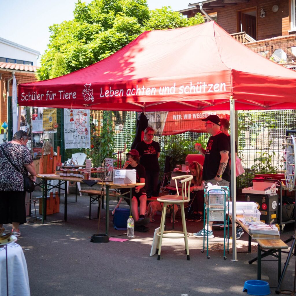 Gelungenes Tierheimfest