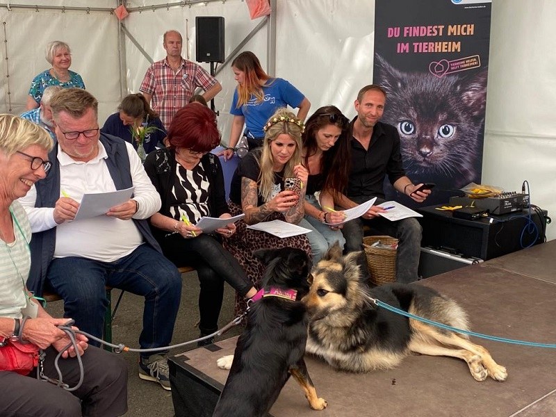 Gelungenes Tierheimfest