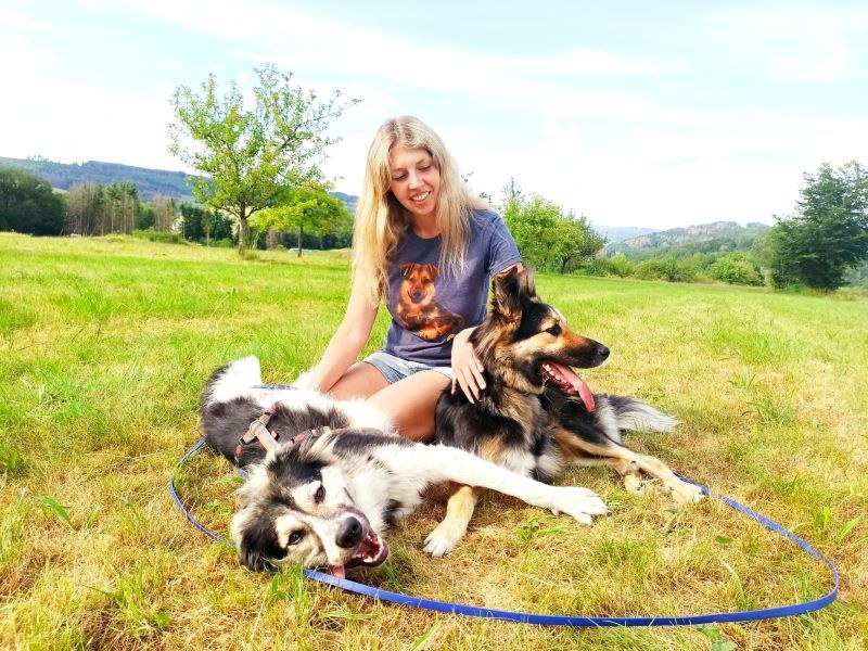 Kurse für ängstliche, sensible und unsichere Hunde