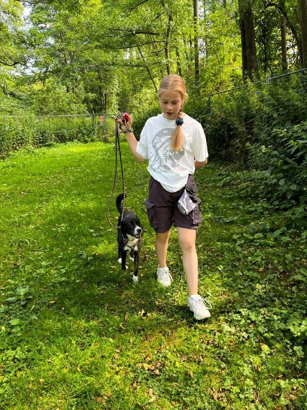 Kurse für ängstliche, sensible und unsichere Hunde