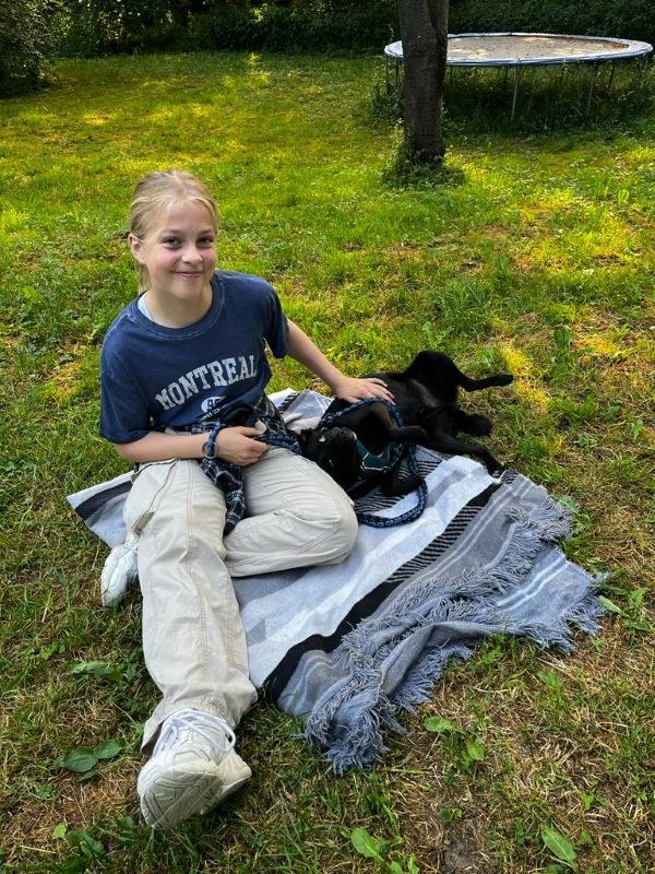 Kurse für ängstliche, sensible und unsichere Hunde