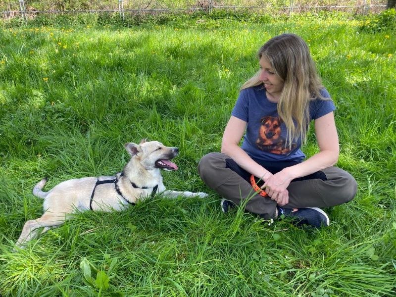 Kurse für ängstliche, sensible und unsichere Hunde