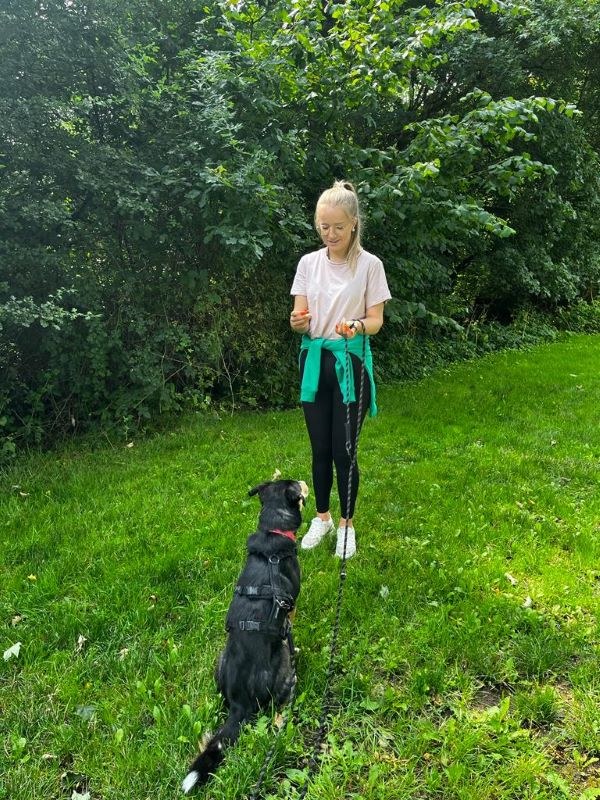 Kurse für ängstliche, sensible und unsichere Hunde