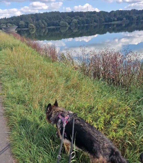 Ein Ausflug an den See