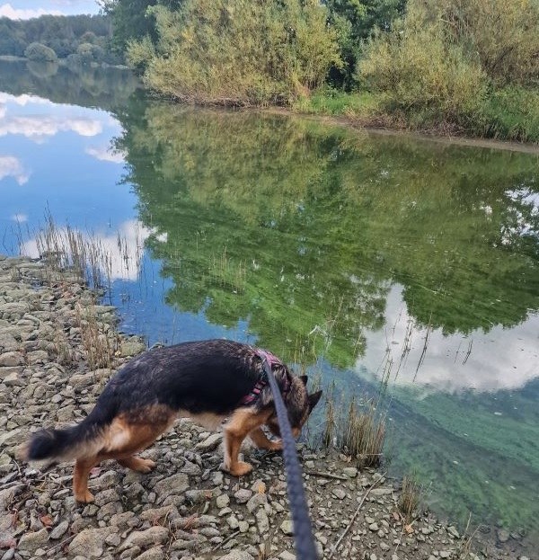 Ein Ausflug an den See