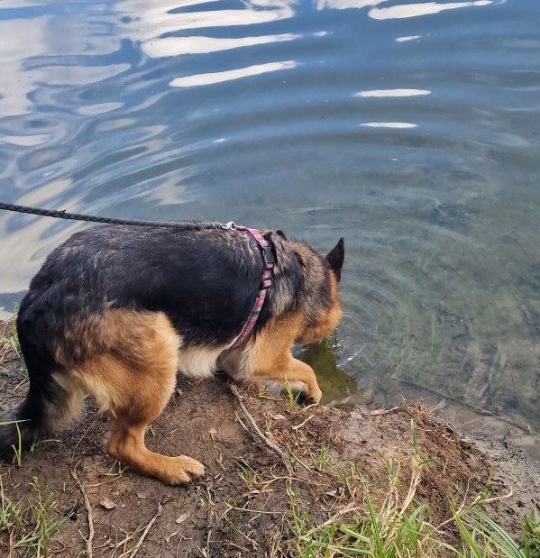 Ein Ausflug an den See