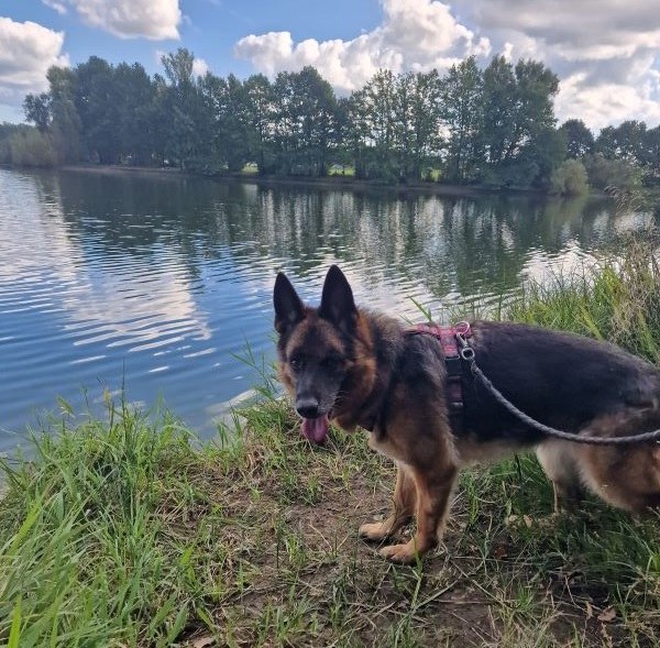 Ein Ausflug an den See