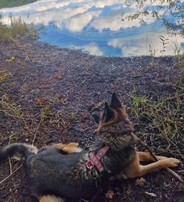 Ein Ausflug an den See