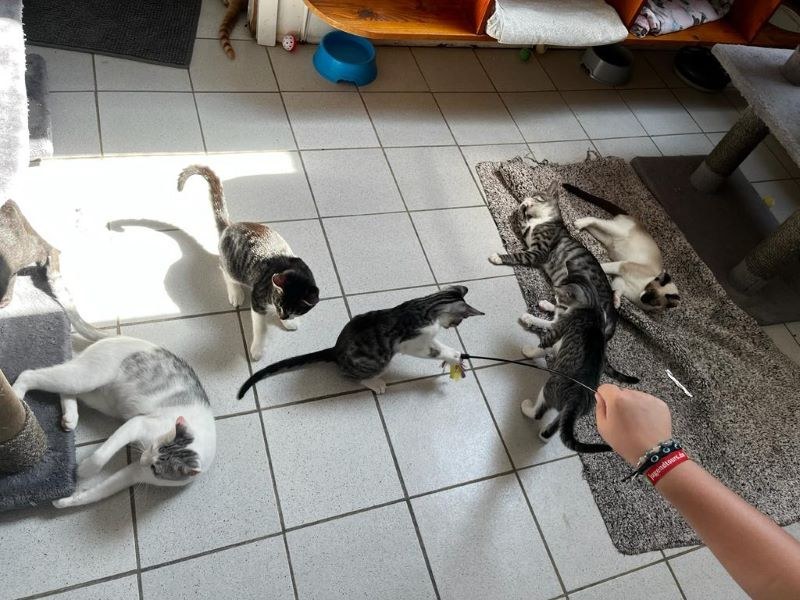 Kinder- und Jugendtag