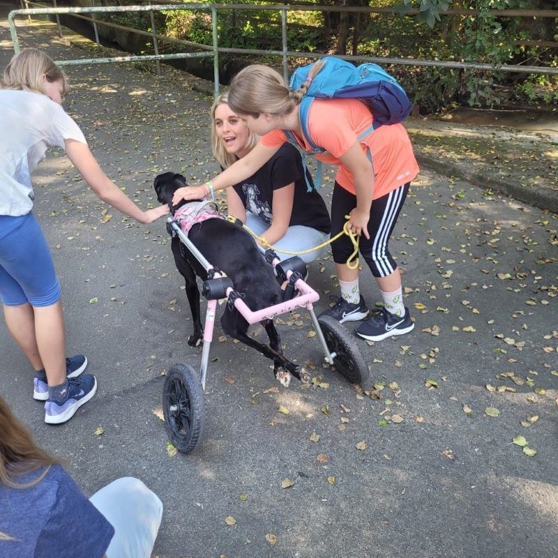 Kinder- und Jugendtag