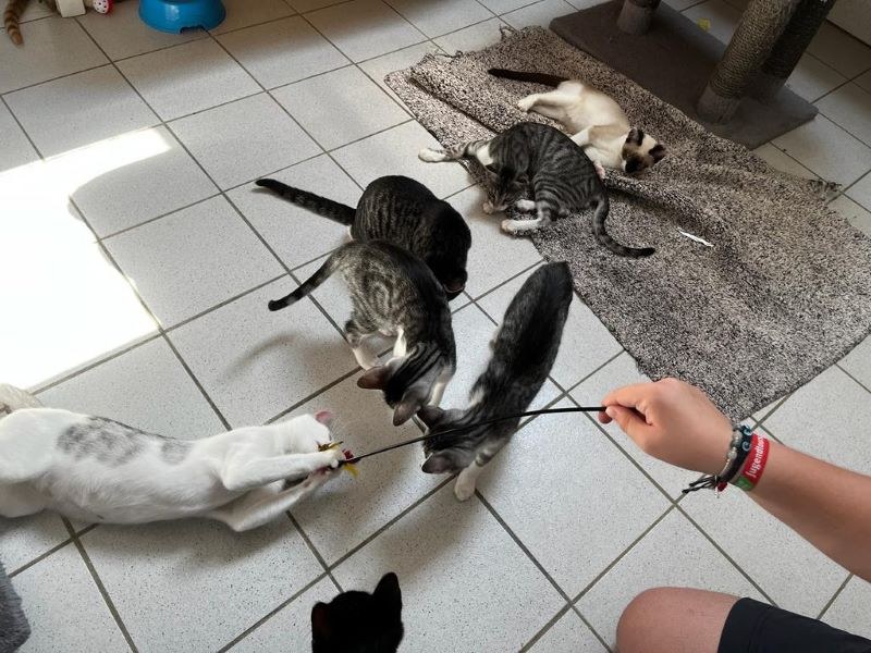 Kinder- und Jugendtag