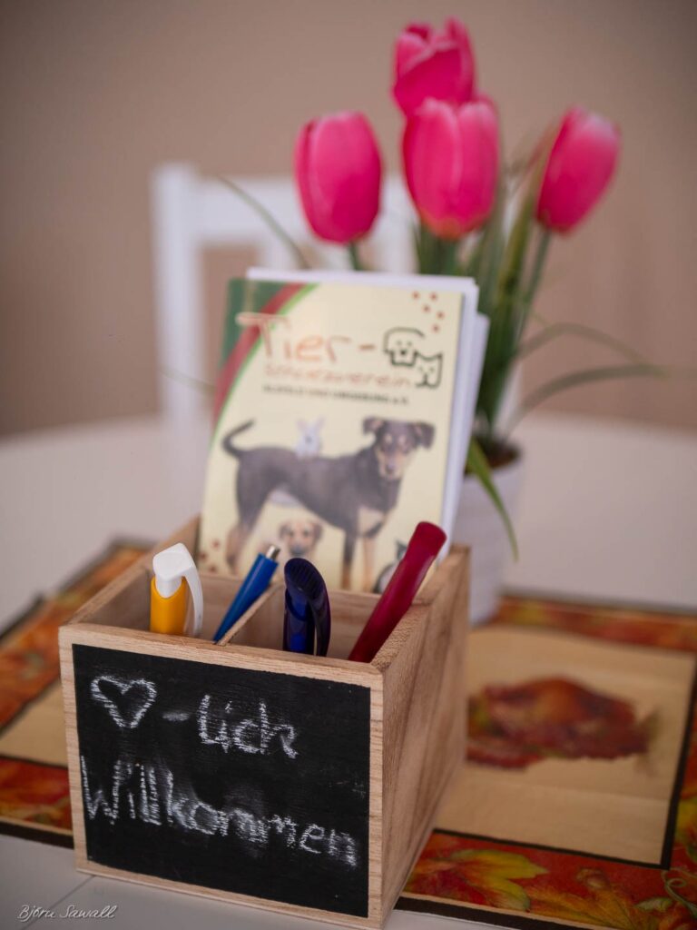 Großartiger Tombola-Basar bei bestem Wetter