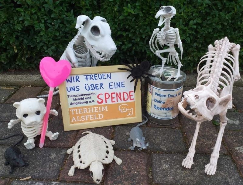 Halloween in Riebelsdorf