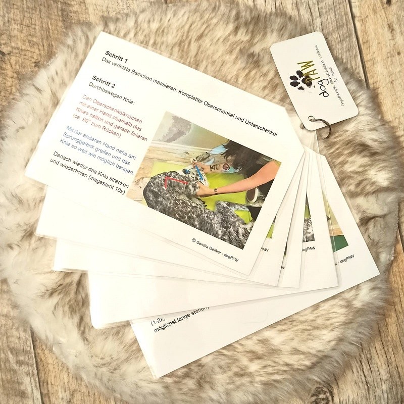 Tolle Aktion von Sandra Geißler - DogPAW