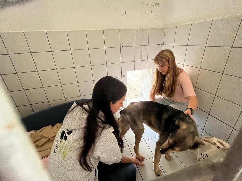 Tolle Aktion von Sandra Geißler - DogPAW