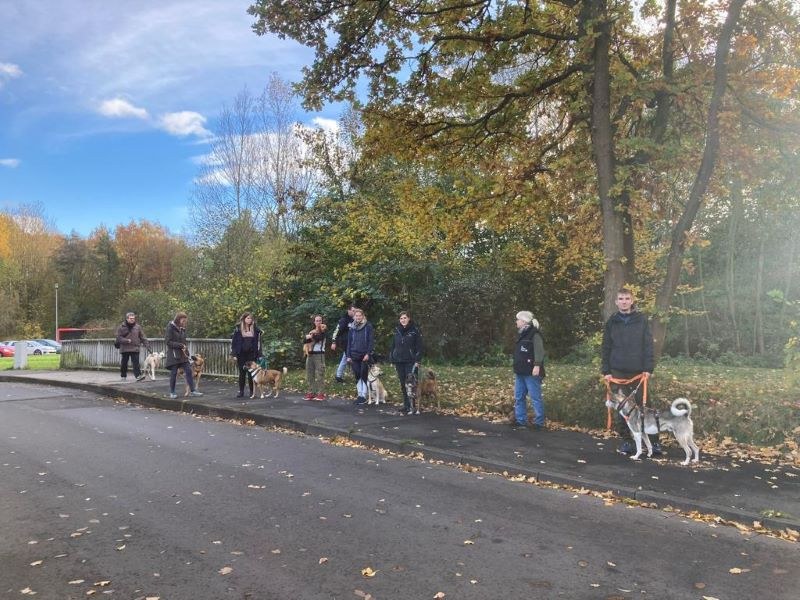 Tierheiminterne Hundeschule