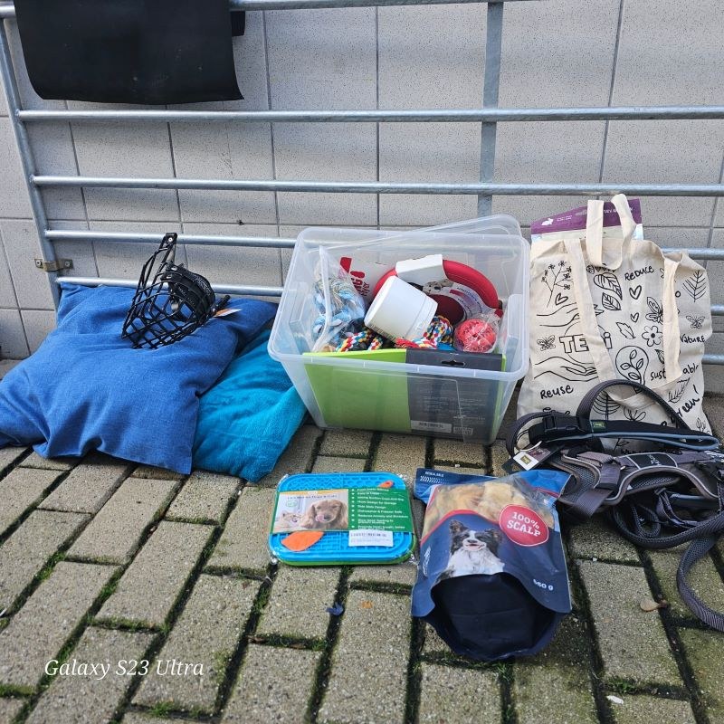 Vielen Dank für Ihre Spenden
