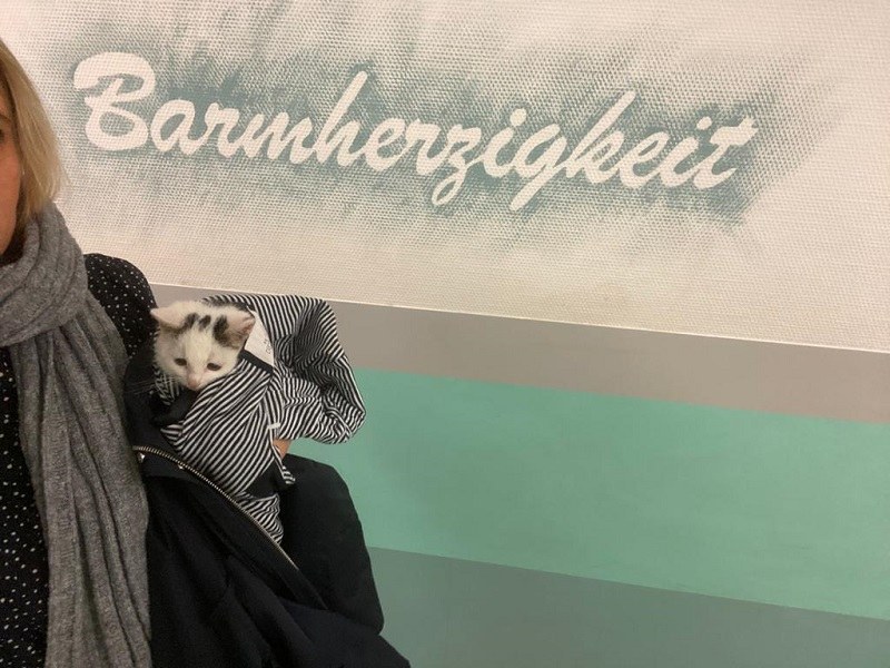 Rettung des kleinen Schiller