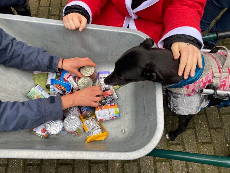 Nikolausüberraschung der SfT-Tierschutzkinder