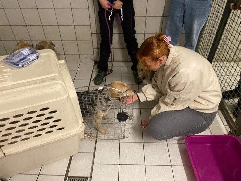Erneuter Besuch von Nika-Sofie