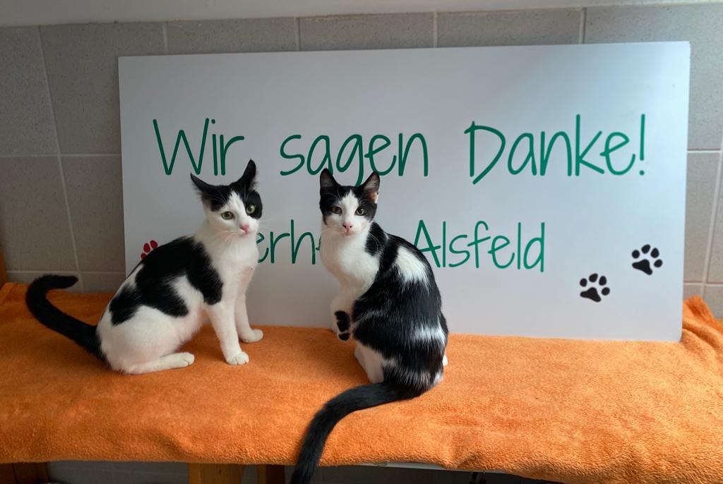 Wir sagen Danke!