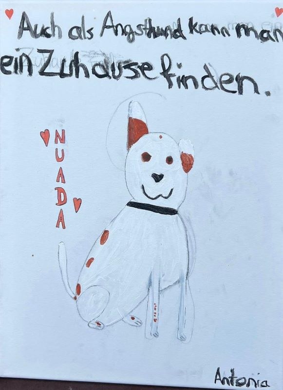 Dritter Kinder- und Jugendtag im Tierheim Alsfeld
