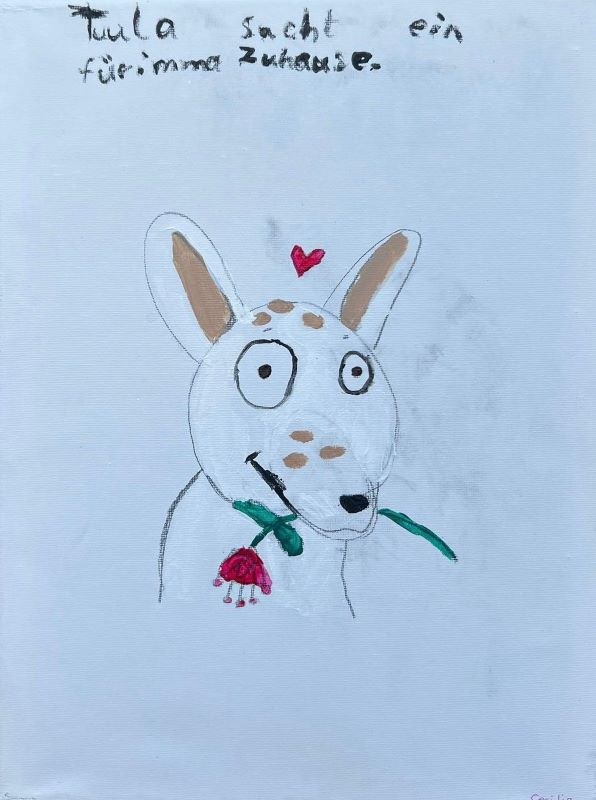 Dritter Kinder- und Jugendtag im Tierheim Alsfeld