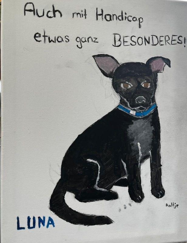 Dritter Kinder- und Jugendtag im Tierheim Alsfeld