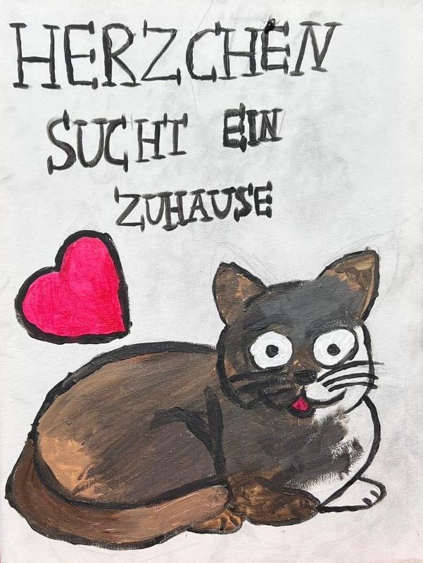 Dritter Kinder- und Jugendtag im Tierheim Alsfeld