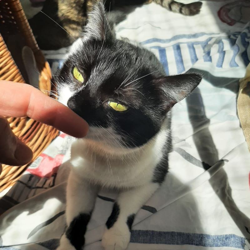 Dritter Kinder- und Jugendtag im Tierheim Alsfeld
