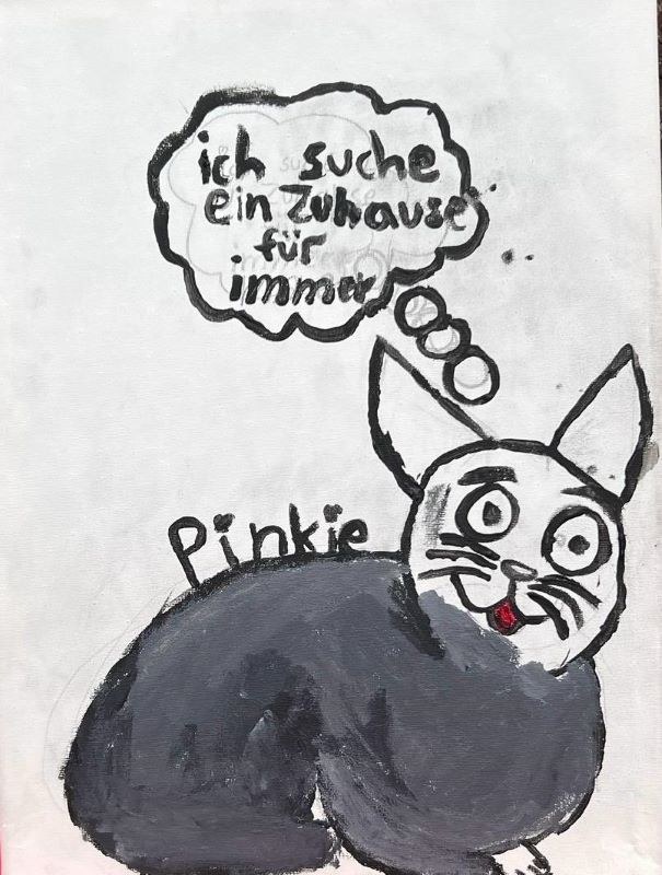 Dritter Kinder- und Jugendtag im Tierheim Alsfeld