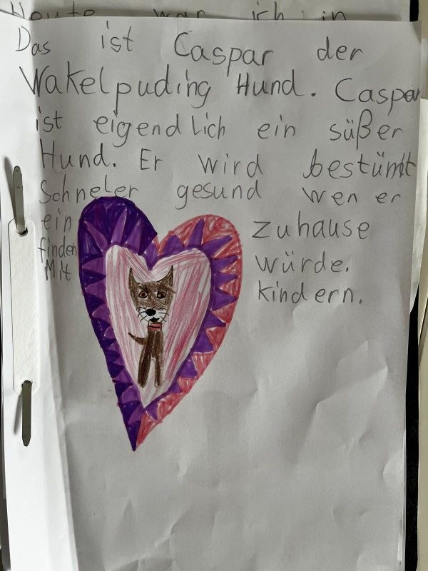 Dritter Kinder- und Jugendtag im Tierheim Alsfeld