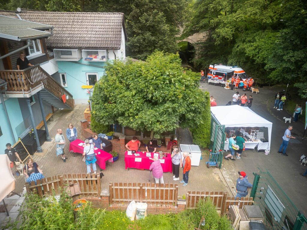 Unser Sommerfest 2024 - Ein Rückblick