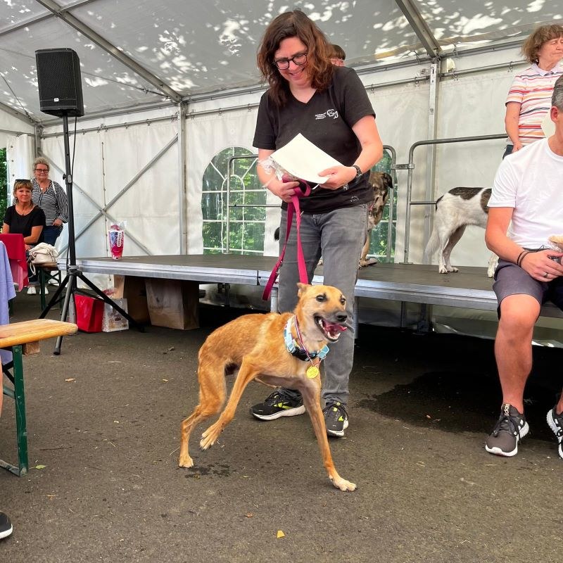 Unser Sommerfest 2024 - Ein Rückblick