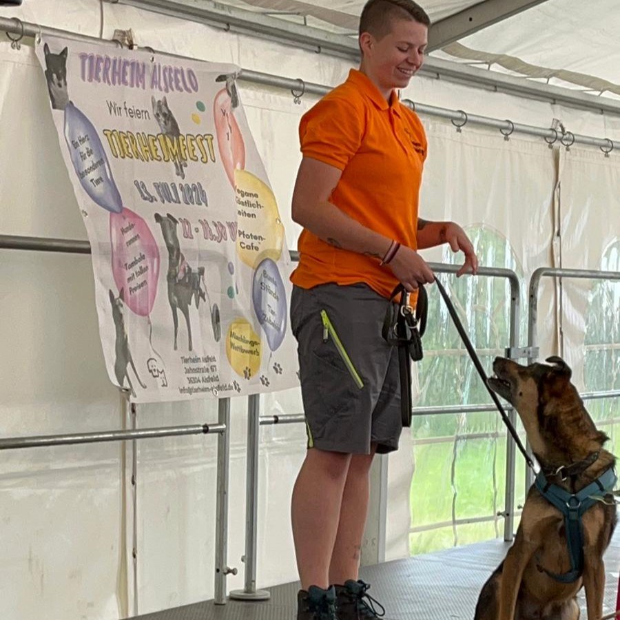 Danke an alle Besucher & Helfer für dieses tolle Sommerfest