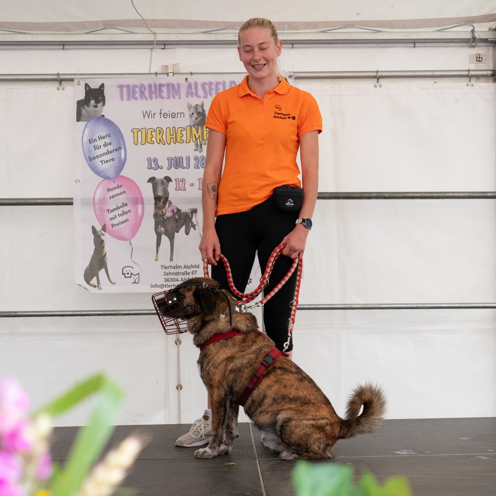 Danke an alle Besucher & Helfer für dieses tolle Sommerfest