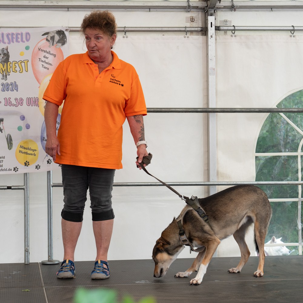 Danke an alle Besucher & Helfer für dieses tolle Sommerfest