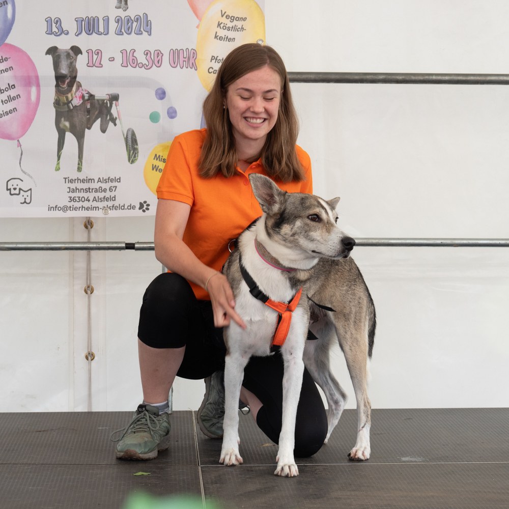 Danke an alle Besucher & Helfer für dieses tolle Sommerfest