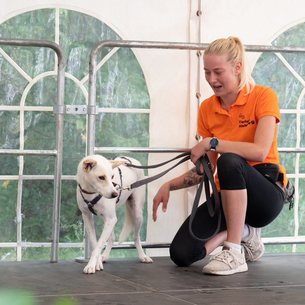 Danke an alle Besucher & Helfer für dieses tolle Sommerfest