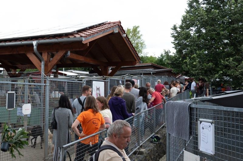 Unser Sommerfest 2024 - Ein Rückblick