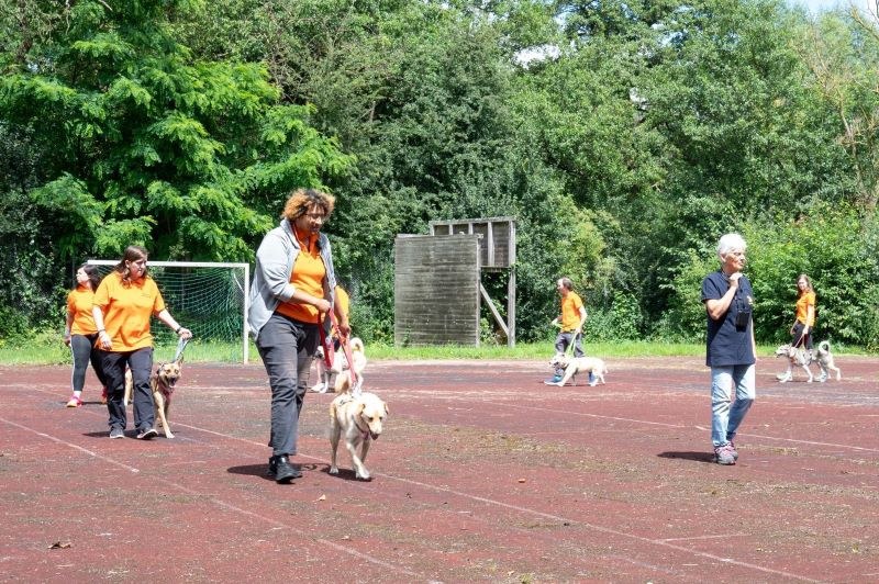 Unser Sommerfest 2024 - Ein Rückblick