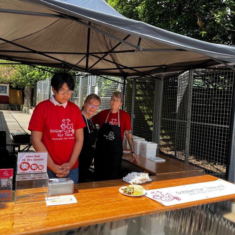 Unser Sommerfest 2024 - Ein Rückblick