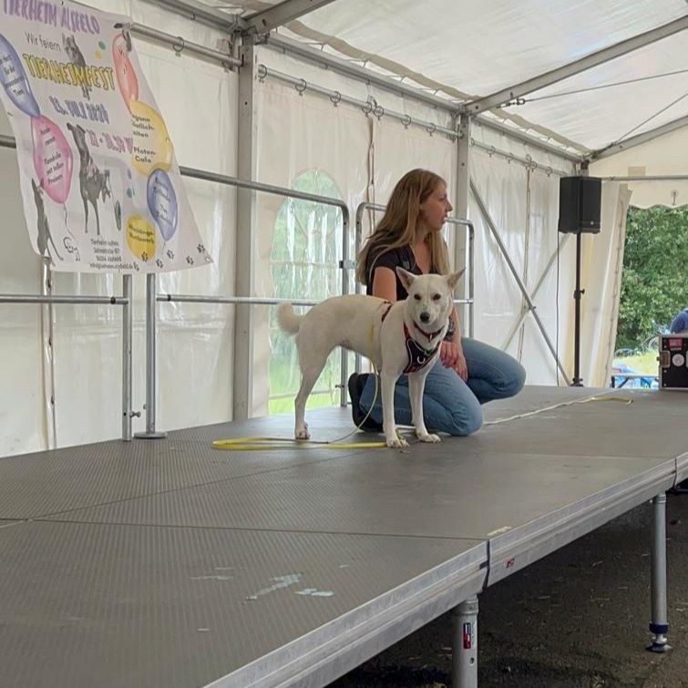 Danke an alle Besucher & Helfer für dieses tolle Sommerfest