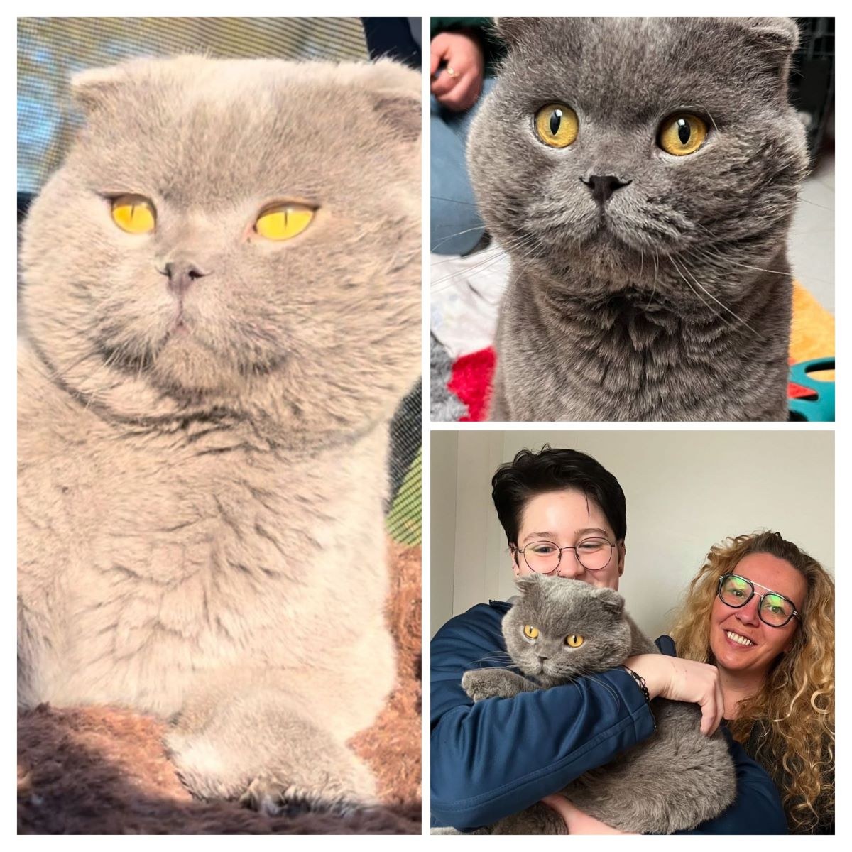 Hugo