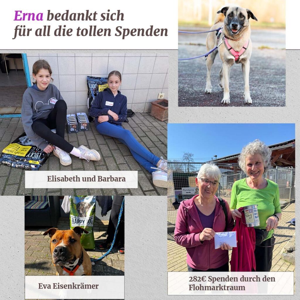 Ein schönes Osterfest und tolle Spenden erreichten uns im April