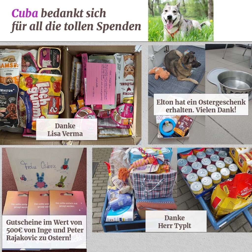 Ein schönes Osterfest und tolle Spenden erreichten uns im April