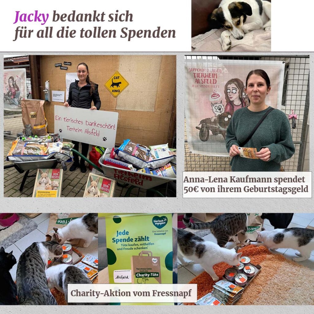Ein schönes Osterfest und tolle Spenden erreichten uns im April